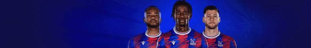 world sudoku championship
